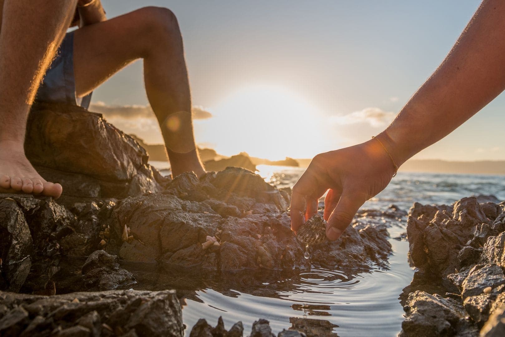 Cosmeceutical Ingredients